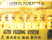 이미지 전체보기